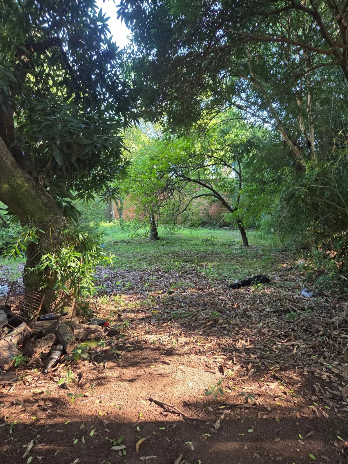 TERRENO CON CASA A RECICLAR - imagen 3